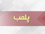 تولید شیرینی و بیسکویت‌ با طعم سوسک | تصاویر چندش آور از ظرف مواد شیرینی که سوسک مرده داشت + ویدئو
